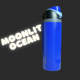 Moonlit Ocean